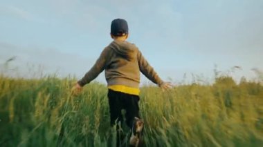 Neşeli bir çocuk güneşli bir günde yeşil çimlerin üzerinde koşar. Çocuk oyunu. Mutlu bir çocukluk. Çimlerin üzerindeki bir tarlada güneş ışınlarında bir çocuk. Yüksek kalite 4k görüntü