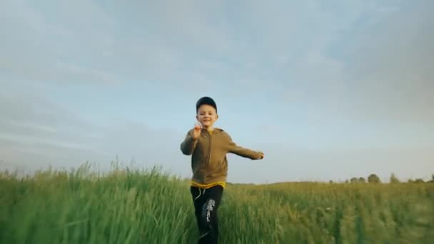 Enfant Joyeux Court Travers Herbe Verte Par Une Journée Ensoleillée — Video