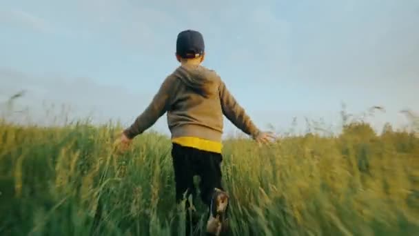 아이가 잔디를 나간다 풀밭에서 일광욕을 즐기는아이 고품질 — 비디오