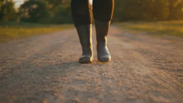 Egy Gumicsizmás Farmer Sétál Egy Vidéki Úton Egy Zöld Mező — Stock videók