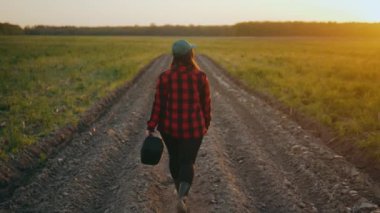 Agronomist kız tarladaki verimli toprağa bakarak tarlada yürüyor. Tarımcı bir çiftçi gün batımında arazisini teftiş eder. Tarım konsepti. Yüksek kalite 4k görüntü