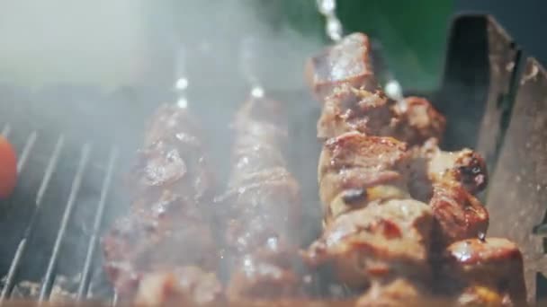 Close Cooking Delicious Grilled Food Process Cooking Delicious Barbecue Nature — Stock Video