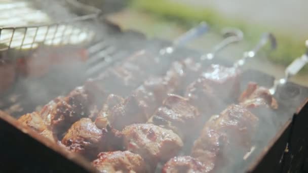 Közelkép Főzés Finom Grillezett Étel Folyamat Főzés Finom Barbecue Természetben — Stock videók