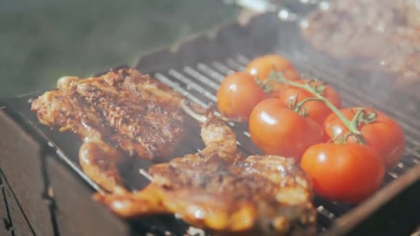 Primer Plano Cocina Deliciosa Comida Parrilla Proceso Preparación Delicioso Pollo — Vídeos de Stock