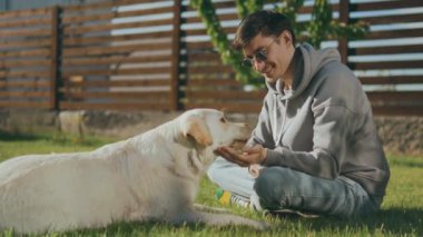 Genç bir adam bahçedeki yeşil bir çimenlikte oturur ve ona bir ödül vererek köpeğini eğitir. Bir adam bir köpekten çimlerin üzerinde otururken patisini uzatmasını ister. Evcil hayvanlar. Evde giyinmek. Yüksek kalite 4k video