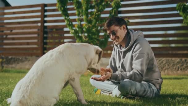 Молодий Чоловік Сидить Зеленому Газоні Подвір Тренує Свого Собаку Даючи — стокове відео