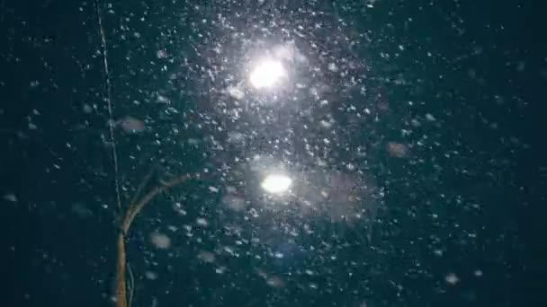 雪が降った夜の街灯 雪が降っています 街の公園で孤独なランタンの夜の光 夜に住宅地で雪が降る 冬の季節の天候 良質の4K映像 — ストック動画