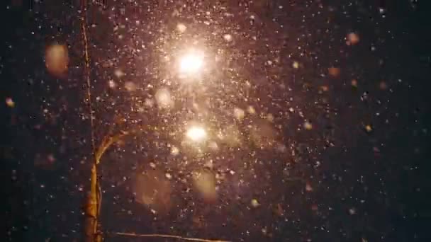 Уличная Лампа Снежную Ночь Снег Идет Ночное Сияние Одинокого Фонаря — стоковое видео