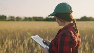 Tabletle buğday tarlası üzerinde çalışan çiftçi kadın. Tabletli gronomist olgunlaşmış buğday tarlasını tutuyor. Gronomist tarlada hasatı gözlemliyor. İş kadını tahıl hasatını analiz ediyor.