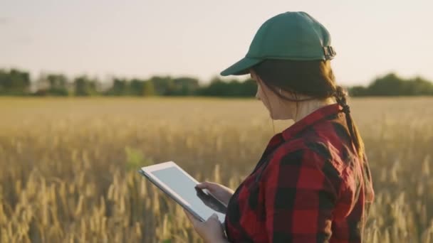 Bäuerin Arbeitet Mit Tablette Auf Weizenfeld Agronomin Mit Tablette Hält — Stockvideo