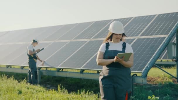 代替電力の生産でオーバーオールの労働者は データを収集し分析します 太陽光パネルを使用してエネルギー生産 グリーンエネルギー フィールドに配置された生態系発電所の太陽光発電パネル — ストック動画