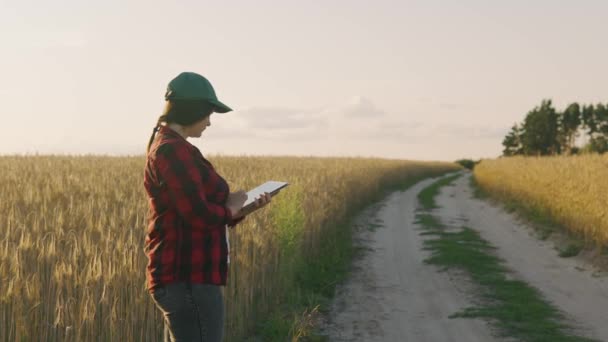 Farmer Donna Che Lavora Con Una Tavoletta Campo Grano Esaminando — Video Stock