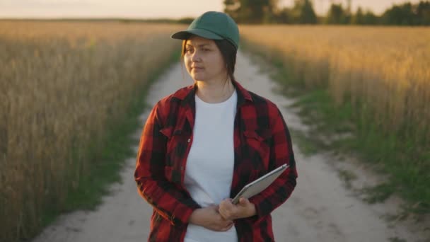 Mezőgazdász Egy Táblával Vizsgálja Búzatermést Területen Egy Női Farmer Egy — Stock videók