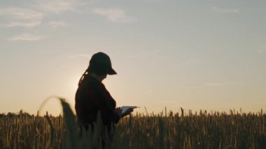 Bir çiftçi-tarım uzmanı, hasat etmeden önce elleriyle yetiştirilen mahsulleri inceleyip tablete veri kaydediyor. Organik tarım hasadı. Yüksek kalite 4K görüntü. Yüksek kalite 4k görüntü