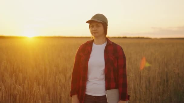 Egy Földműves Táblával Értékeli Búzatermést Naplementekor Földen Egy Női Földműves Stock Felvétel