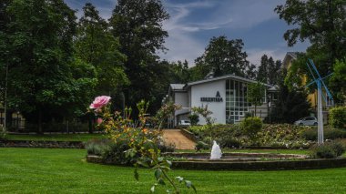 Port Louis Meydanı 'ndaki spa evinde gül bahçesi..