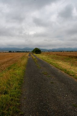 Yol, Aşağı Sakson Harz 'ın dağlarına çıkıyormuş gibi görünüyor. Yolun solunda ve sağında tarlalar var. Uzaklarda ise bulutların sardığını görürsün..