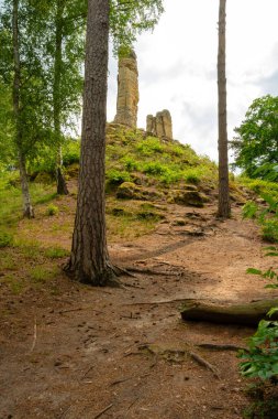 Halberstadt yakınlarındaki Fnffingerfelsen, yüksek ağaçlar arasında etkileyici bir şekilde yükselir. Kökleri ve ön planda düşmüş bir kütüğü olan doğal orman zemini olay yerine derinlik katar..