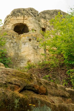 Halberstadt yakınlarındaki Klusfelsen nehrinin aşağısından bakıldığında kumtaşındaki pencere benzeri oymalar ve tarihi oymalar görülüyor. Yosunlu kaya yüzeyi yemyeşil bitki örtüsüyle çevrili..
