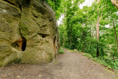 Halberstadt yakınlarındaki bir orman yolu boyunca kazınmış bir kumtaşı mağarasının görüntüsü. Yosun kaplı kaya duvarında görünür açıklıklar ve tarihi oymalar yer alıyor, kültür mirasıyla doğal güzelliğin harmanlanması..