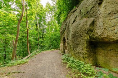 Orman yolu, Halberstadt 'taki Felsenkeller mağara sisteminin bir parçası olan oyulmuş yazıtlarla birlikte bir kum taşı duvarının yanında. Yol, sık yaprak döken ormanların ve tarihi kaya oluşumlarının arasından geçiyor..