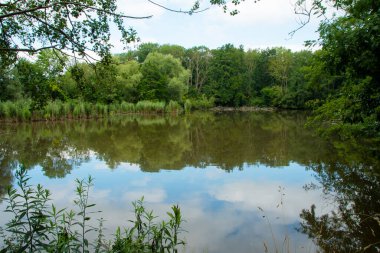 Karanlık bir gökyüzünün altında çarpıcı bir ışıkla kirli sakal tarlası. Güneş ışınları bulutların arasından geçip altın tarlaları, yeşil tepeleri, ağaçları ve uzak Harz Dağlarını aydınlatıyor..