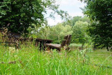Ön planda, taze, uzun otlar. Arkasında, masa ve bank olan ahşap bir dinlenme alanı var. Çıkıntılı vida bankı daha az davetkar yapar..