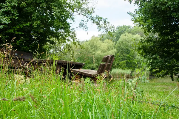 Ön planda, taze, uzun otlar. Arkasında, masa ve bank olan ahşap bir dinlenme alanı var. Çıkıntılı vida bankı daha az davetkar yapar..