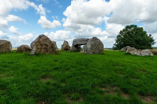 Megalitik mezar taşları. Meşe ağacı manzaralı.