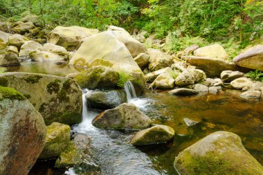 Yoğun yeşillikle çevrili Okertal vadisindeki yosun kaplı kayaların üzerinde berrak su birikintileri ve Harz Dağları 'ndaki su bolluğunun bir sembolü..