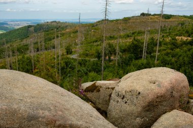 Güçlü granit bloklar Ksteklippen kayalıklarının önünde uzanırken, yürüyüş yolu yeşil arazide ve Harz Dağları 'nın çıplak yamaçlarında bir kurdele gibi esiyor..