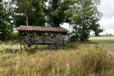 Mor çiçekli fundalardan oluşan geniş bir halı araziye yayılıyor. Kutsal koruluğun uçsuz bucaksız uçsuz bucaksız boşluğuna doğru ardıç çalılarının arasından geçen kumlu bir yol var..