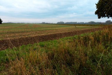 Freshly cultivated fields rest quietly under a cloudy sky, while mist veils the distance and creates a calm and atmospheric rural scenery.