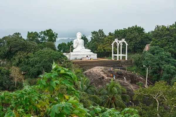 Sri Lanka 'daki ormanda bir Boeddha. Sri Lanka 'daki bir Boeddha' dan yüksek kaliteli fotoğraf.