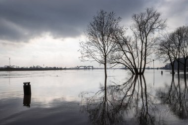 Hollanda 'daki Doorweth yakınlarında Ren nehri. Ren nehrinin yüksek sularından yüksek kaliteli fotoğraf..