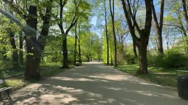 Geniş bir yoldaki parkta yürürken, her iki taraftaki uzun yeşil ağaçlar. Seyahat videoları, sağlık içeriği, şehir doğası tanıtımları, belgesel geçmişleri, güdümlü nefes alma ve farkındalık egzersizleri.