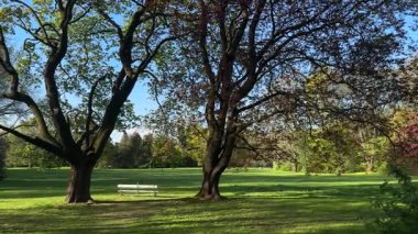 Rahatlama, doğa sahneleri, park temaları, zihinsel sağlık konuları, meditasyon projeleri, seyahat videoları için arka plan