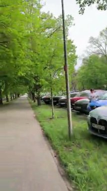 Varşova, Polonya - 16 Mayıs 2025: Şehir bölgesinde ağaçlarla kaplı yürüyüş yolu, pürüzsüz kaldırımlar ve yemyeşil alanlar, sakin yürüyüşler için huzurlu bir ortam yaratıyor