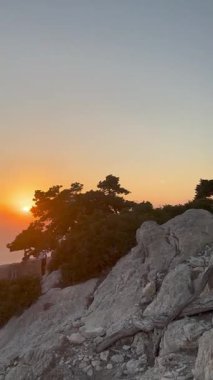 Monolithos, Yunanistan - 15 Ağustos 2023: Uçurumun kenarından siluetli ağaç ve doğanın nefes kesen manzarasına hayran olan insanlar