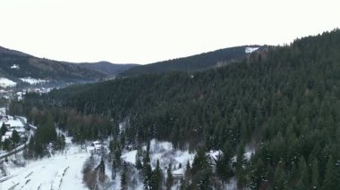 Kış manzarası, karla kaplı dağlarla çevrili bir köyü ve dolambaçlı yolların barışçıl bir atmosfer yarattığı yeşil ağaçları gösteriyor.