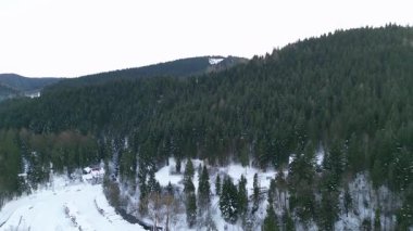 Karla kaplı zemin ve yemyeşil ağaçlarla kaplı kış ormanı uzak dağlar doğa severler ve doğa meraklıları için sakin bir ortam yaratıyor.