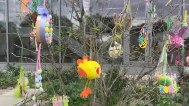Varşova, Polonya - 18 Mayıs 2025: Canlı Paskalya dekorasyonları bir bahçedeki ağaç dallarını süslüyor, renkli süsler ve neşeli bir ortam sergiliyor
