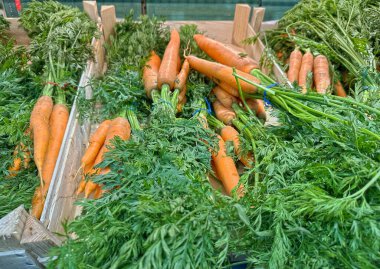 Yeşilli yeşil tepeli organik havuçlar pazardaki ahşap bir sandıkta sergileniyor sağlıklı yemek seçenekleri için taze ve canlı renkleri vurgulanıyor.