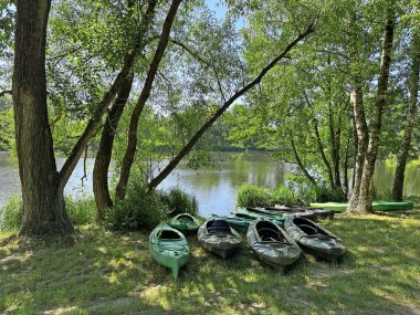 Kanolar, ağaçlar ve canlı yeşilliklerle çerçevelenmiş sakin bir nehrin yanındaki çimenli sahilde dizilmiş, keşif için sakin bir açık hava manzarası yaratıyorlar.