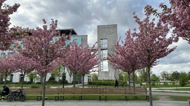 Çiçek açan kiraz ağaçları çağdaş yapıyı çerçeveliyorlar, banklar ve patikalarla pitoresk bir sahne sunuyorlar, doğanın güzelliğinin rahatlığını ve tadını davet ediyorlar.
