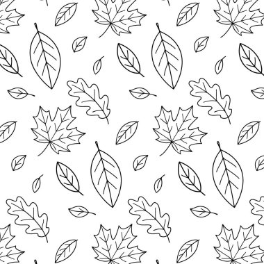 Beyaz bir zemin üzerinde sanatsal olarak düzenlenmiş, doğal temalı tasarımlar ve kopyalama alanı olan projeler için mükemmel çeşitli yaprak şekilleri ve boyutlarının kusursuz vektör çizimi