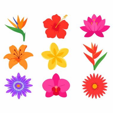 Doğanın ve çiçek çeşitliliğinin güzelliğini vurgulamak için bir ızgaraya dizilmiş amber çiçeği, nilüfer ve orkideler de dahil olmak üzere çeşitli çiçeklerin canlı vektör çizimi