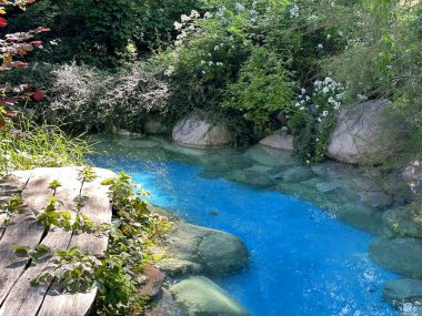 Serin mavi su, yemyeşil ve renkli çiçeklerle çevrili canlı bir bahçede dolaşır, rahatlama ve tefekkür için huzurlu bir atmosfer yaratır.