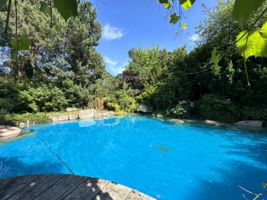 Serene arka bahçe manzarası, yemyeşil yapraklar ve ağaçlarla çevrili parlak mavi bir yüzme havuzu sergiliyor. Açık havada eğlenmek için huzurlu bir atmosfer yaratıyor.