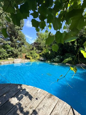 Seren mavisi yüzme havuzu canlı yeşillikler ve ağaçlar tarafından çerçevelenir. Tahta bir güverte, dinlenmek ve dinlenmek için huzurlu bir açık hava alanı sağlar.